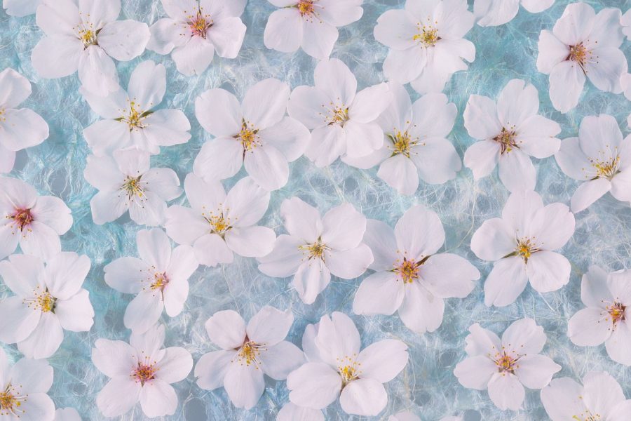 Read More: Spring 2026