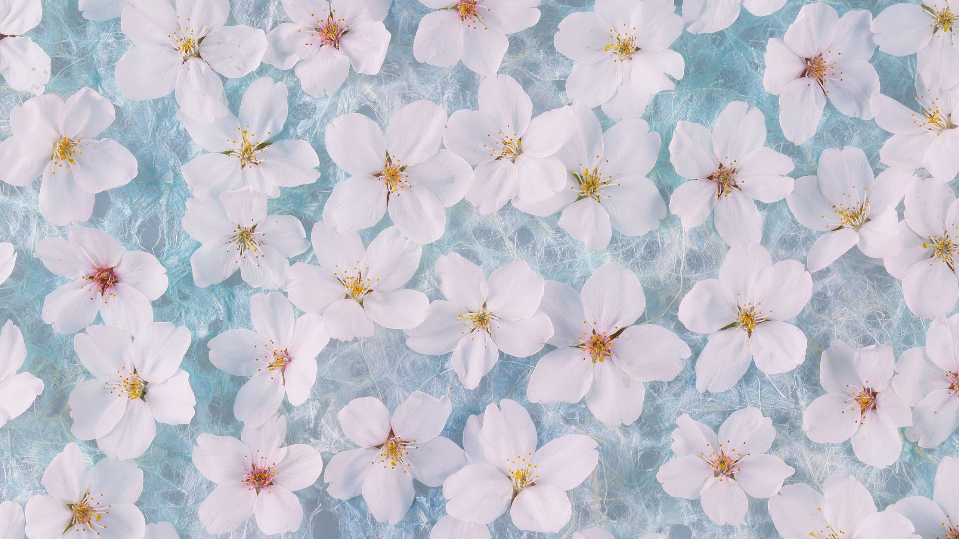 Read More: Spring 2026