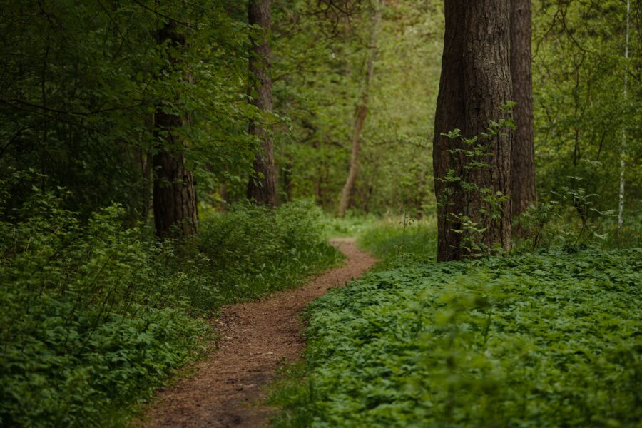 The Treadmill Has No Finish Line, Unless You Draw One.